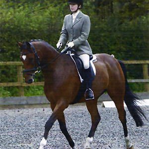 Amanda Brewer, British Dressage Accredited Trainer