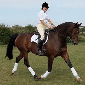 Amanda Brewer, British Dressage Accredited Trainer
