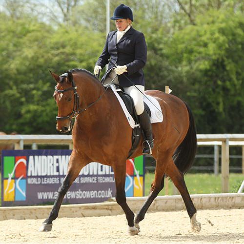 Amanda Brewer, British Dressage Accredited Trainer