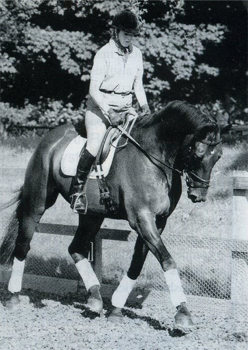Amanda Brewer, British Dressage Accredited Trainer